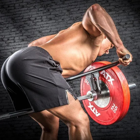  ATX Landmine T-Bar Row Handle