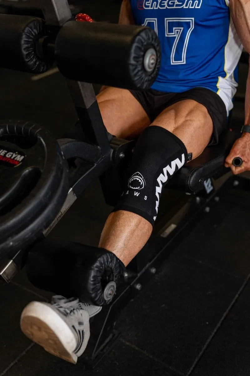  ATX Legacy Leg Extension/ Leg Curl BCO-770